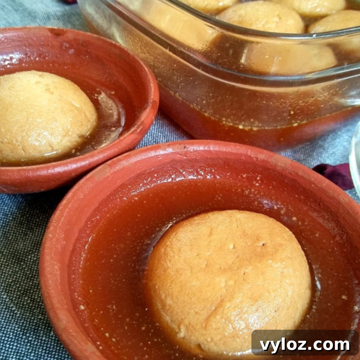 Nolen Gur Rasgulla 1 featured 1148