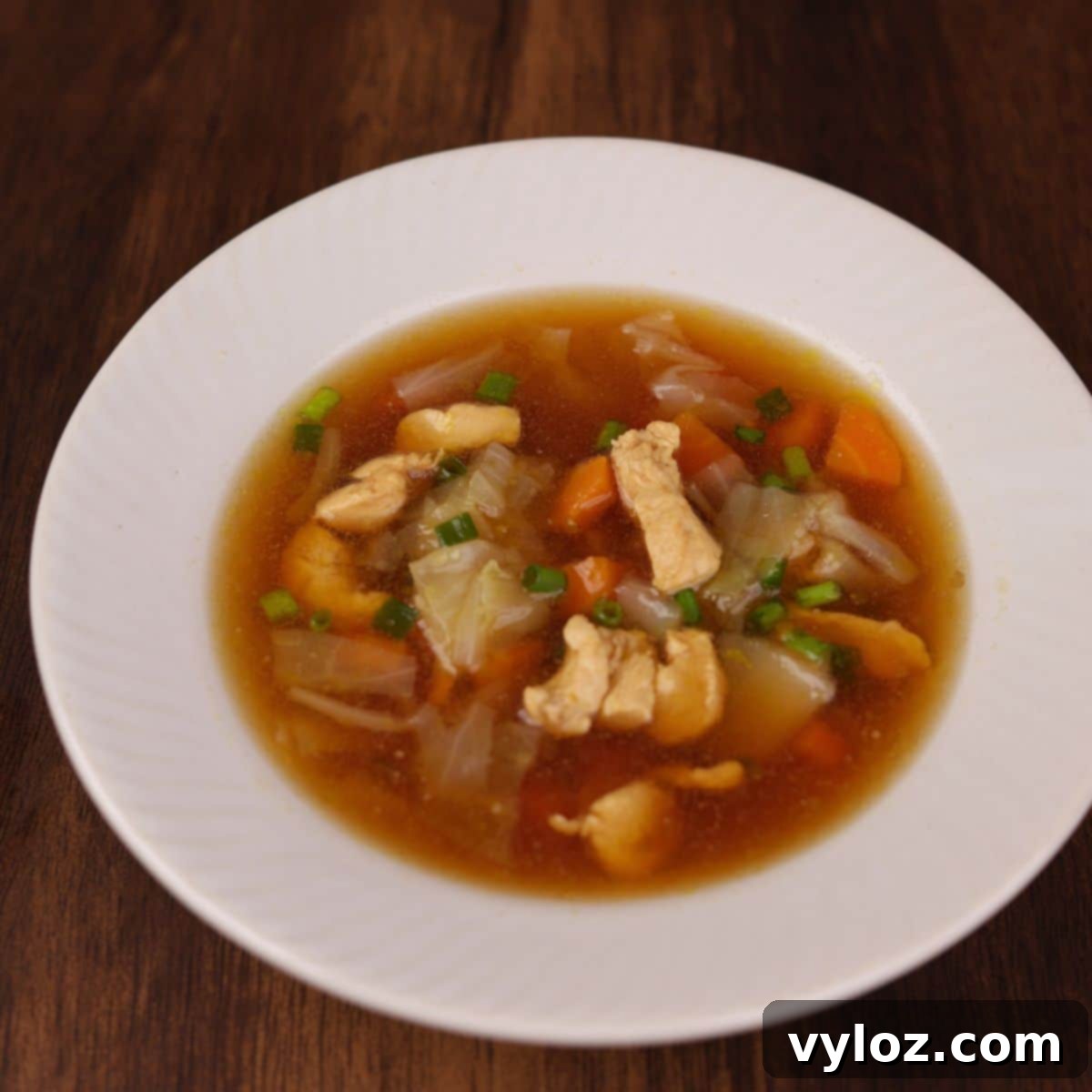Zippy Asian Chicken Cabbage Soup 1 featured 18840