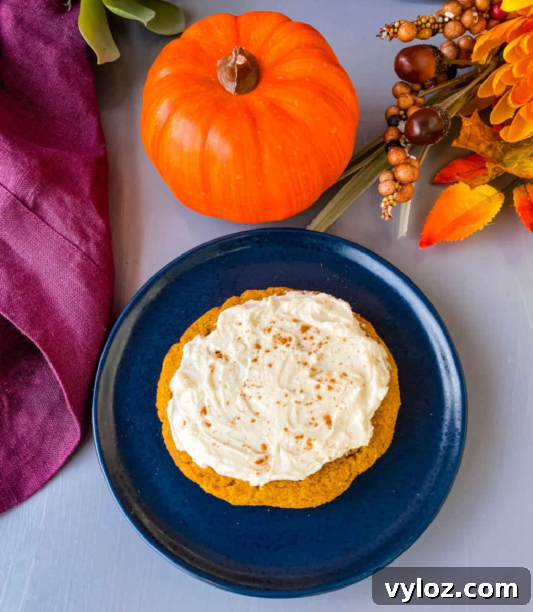 Guilt-Free Pumpkin Spice Cookies 1 featured 23672