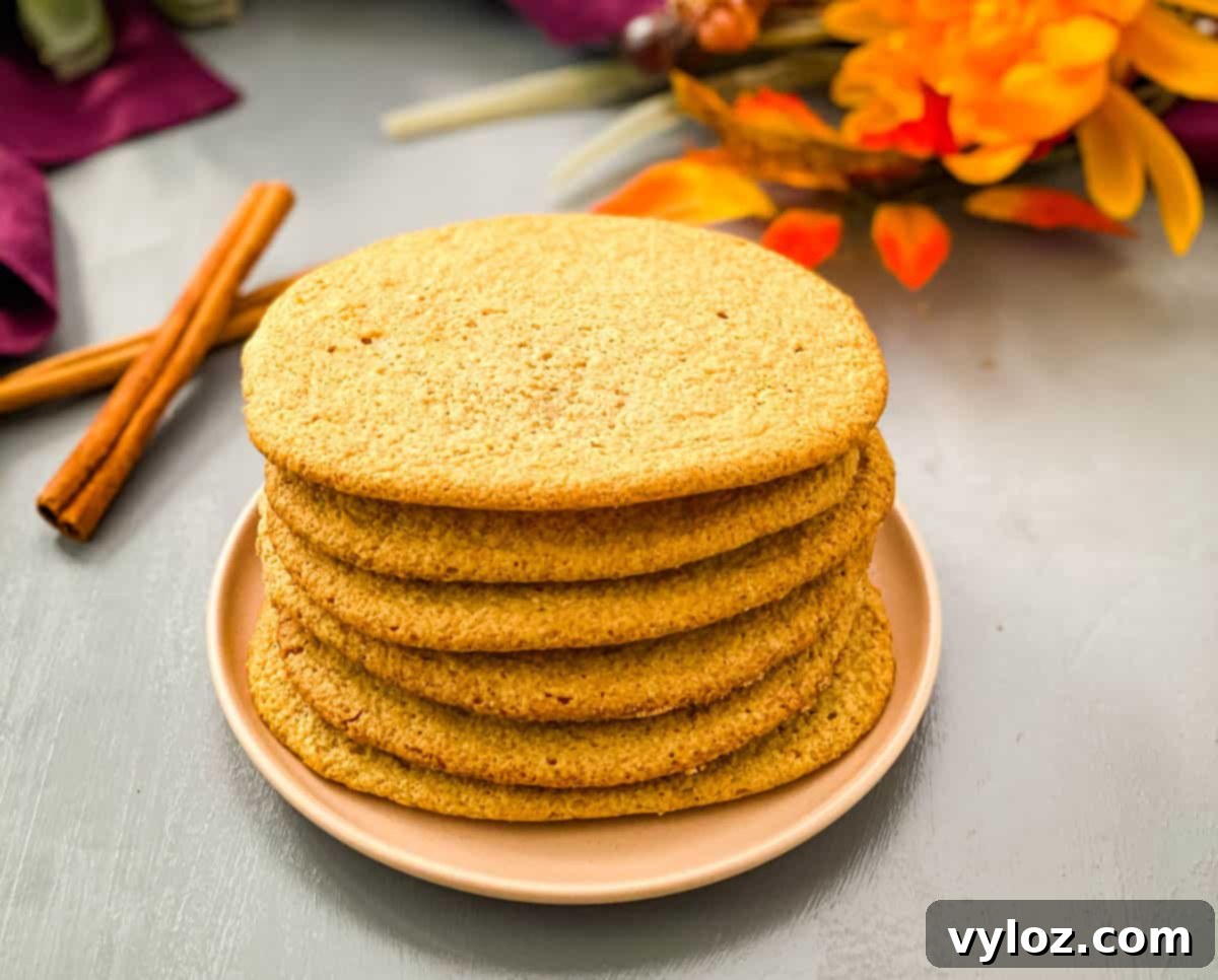 Sugar-Free Collagen Snickerdoodle Cookies 1 featured 24476