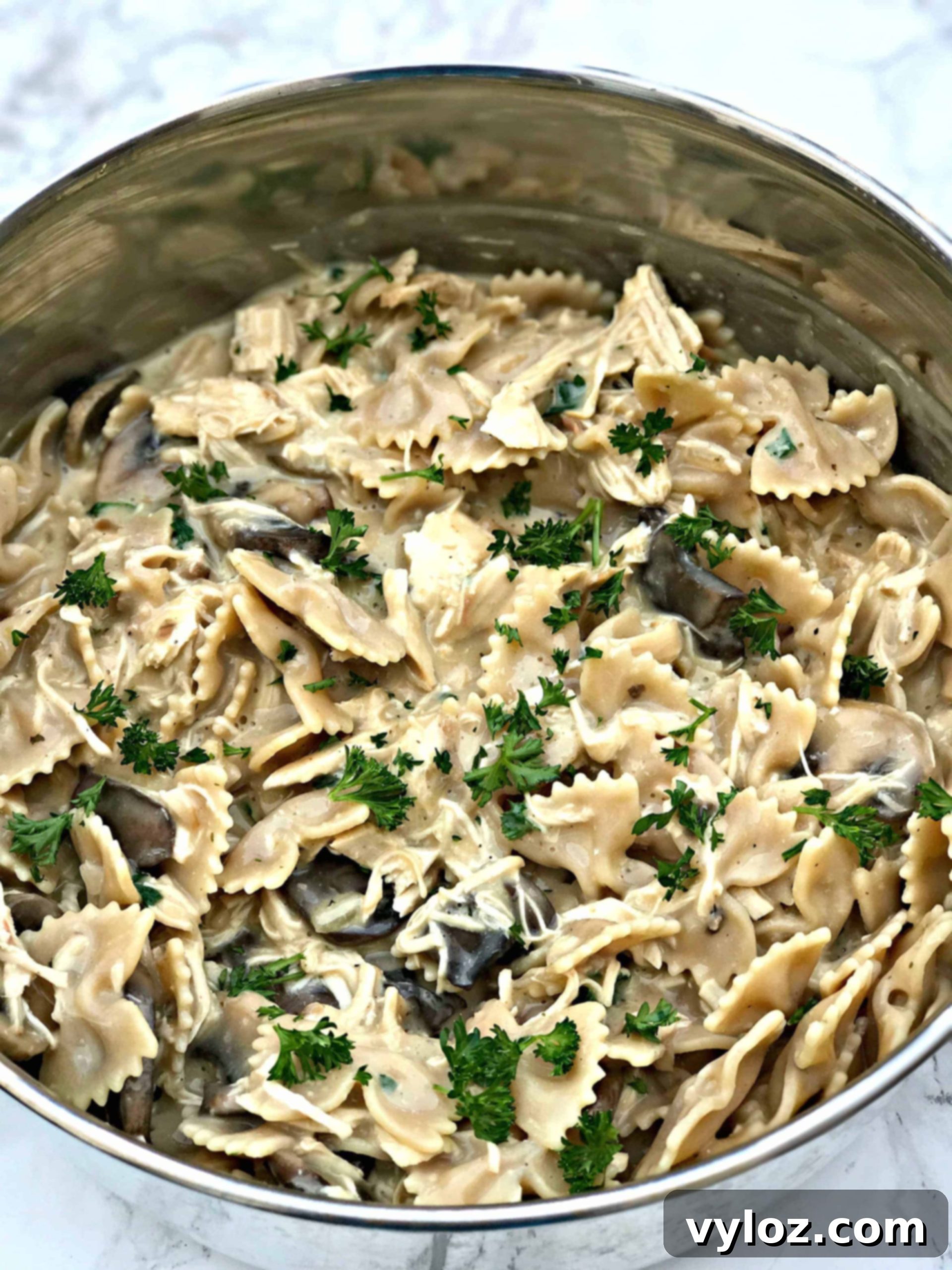 Rich Slow-Cooker Chicken Mushroom Pasta Stroganoff 1 featured 2991 scaled