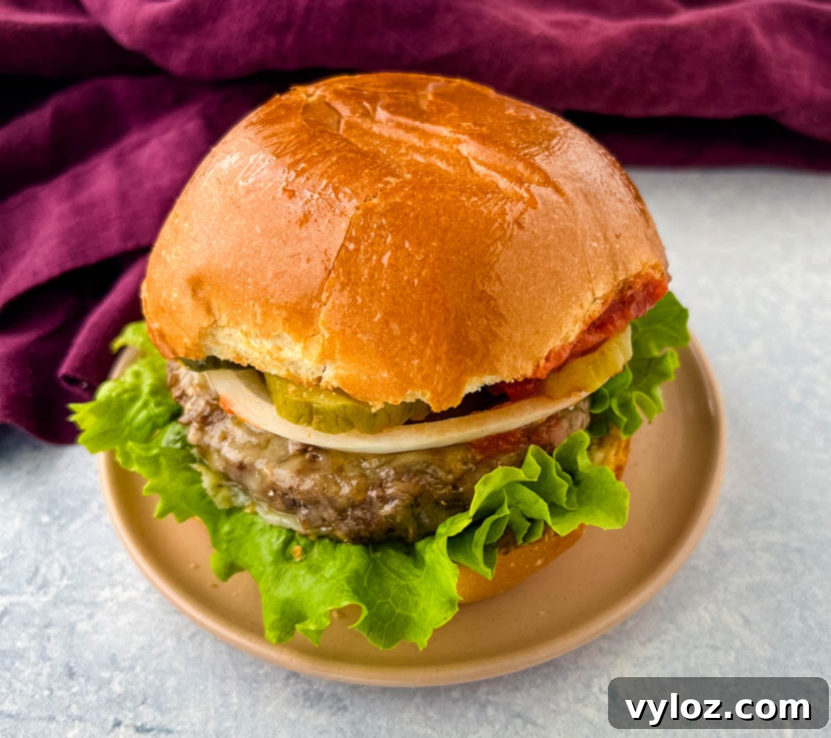 Crispy Air Fryer Frozen Burgers: From Freezer to Plate 1 featured 35907