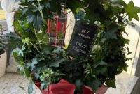 Trader Joe’s Holiday Favorites