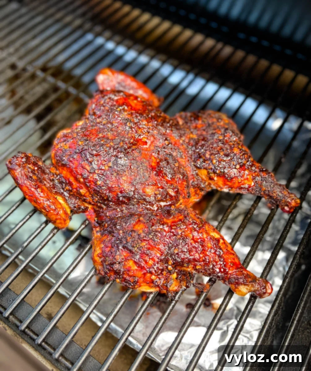 Ultimate Traeger Smoked Whole Chicken 1 featured 40711