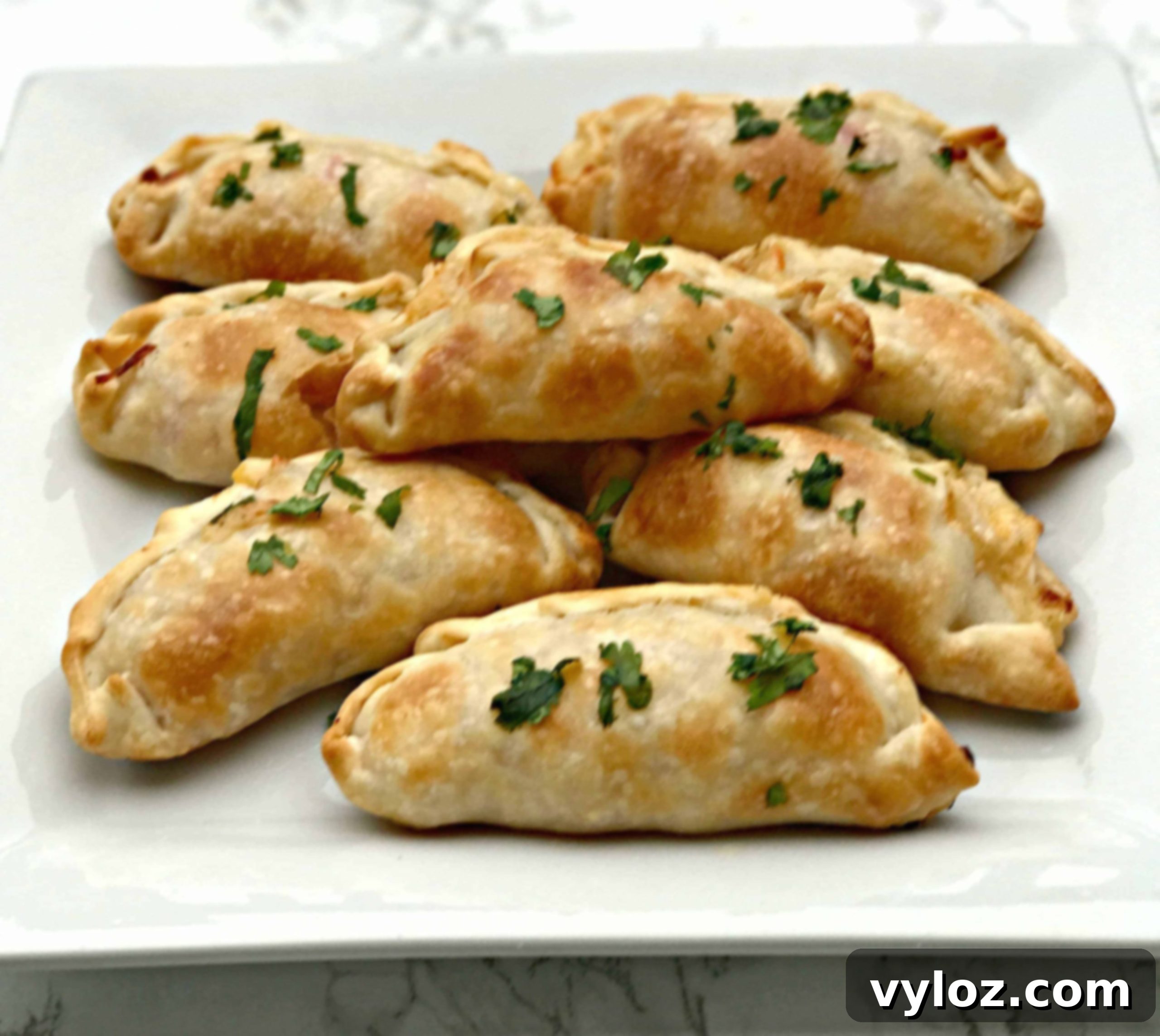 Savory Shrimp Red Pepper Cream Cheese Empanadas 1 featured 4406 scaled