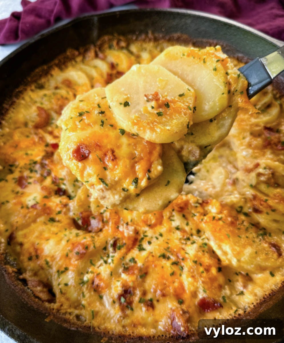 Decadent Bacon and Cheese Potato Gratin 1 featured 48795