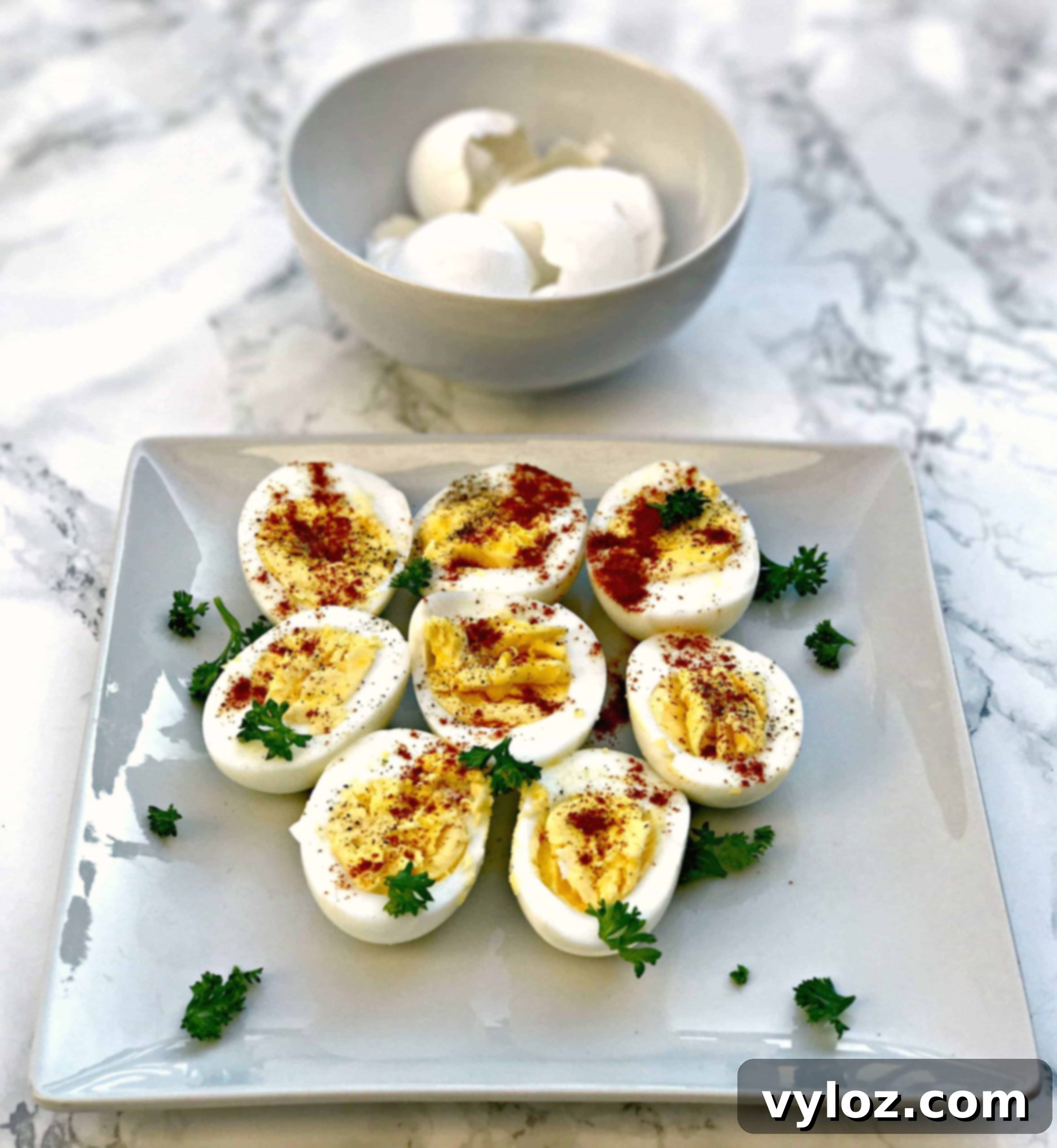 featured 4976 scaled