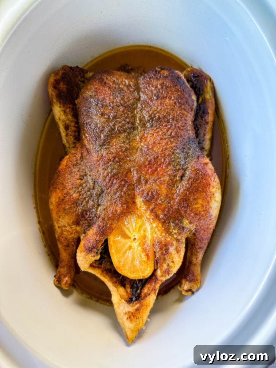 Tender Slow Cooker Duck 1 featured 50262