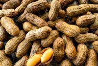 Southern Cajun Boiled Peanuts