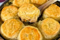 Savory Chicken & Biscuit Casserole