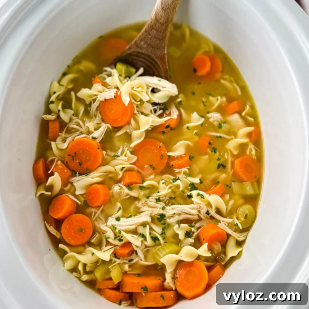 Heartwarming Chicken Noodle Soup 1 featured 71080