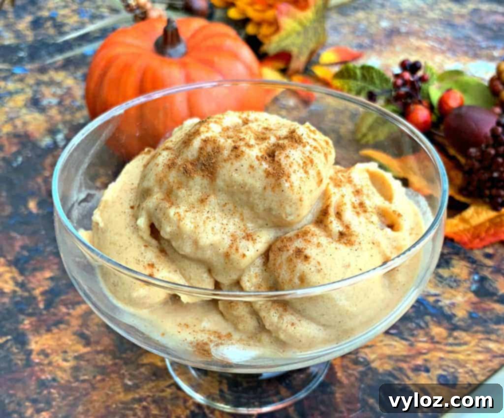 Instant Pot Blender Pumpkin Pie Spice Ice Cream 2 instant pot cooking blender pumpkin spice ice cream in a glass bowl