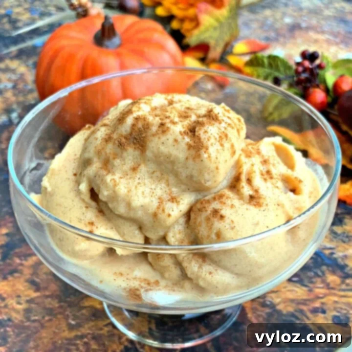 Instant Pot Blender Pumpkin Pie Spice Ice Cream 12 instant pot cooking blender pumpkin spice ice cream in a glass bowl