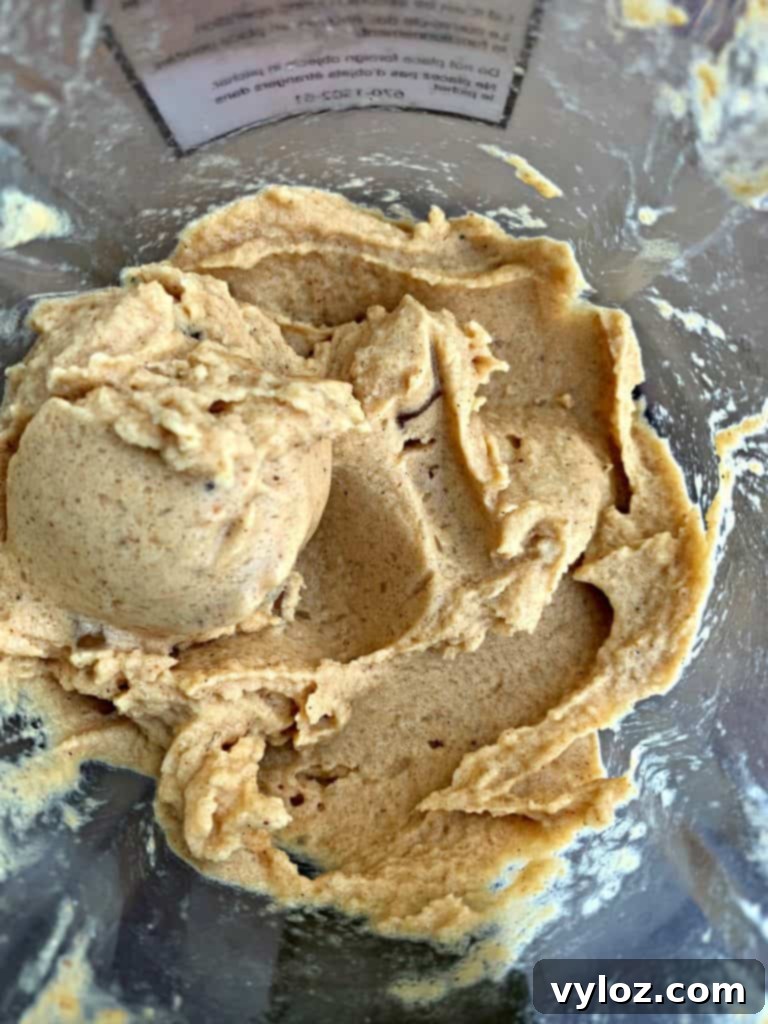 Instant Pot Blender Pumpkin Pie Spice Ice Cream 4 instant pot cooking blender pumpkin spice ice cream in the Instant Pot Blender