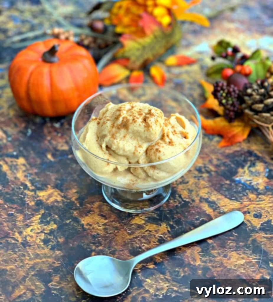 Instant Pot Blender Pumpkin Pie Spice Ice Cream 5 instant pot cooking blender pumpkin spice ice cream in a glass bowl