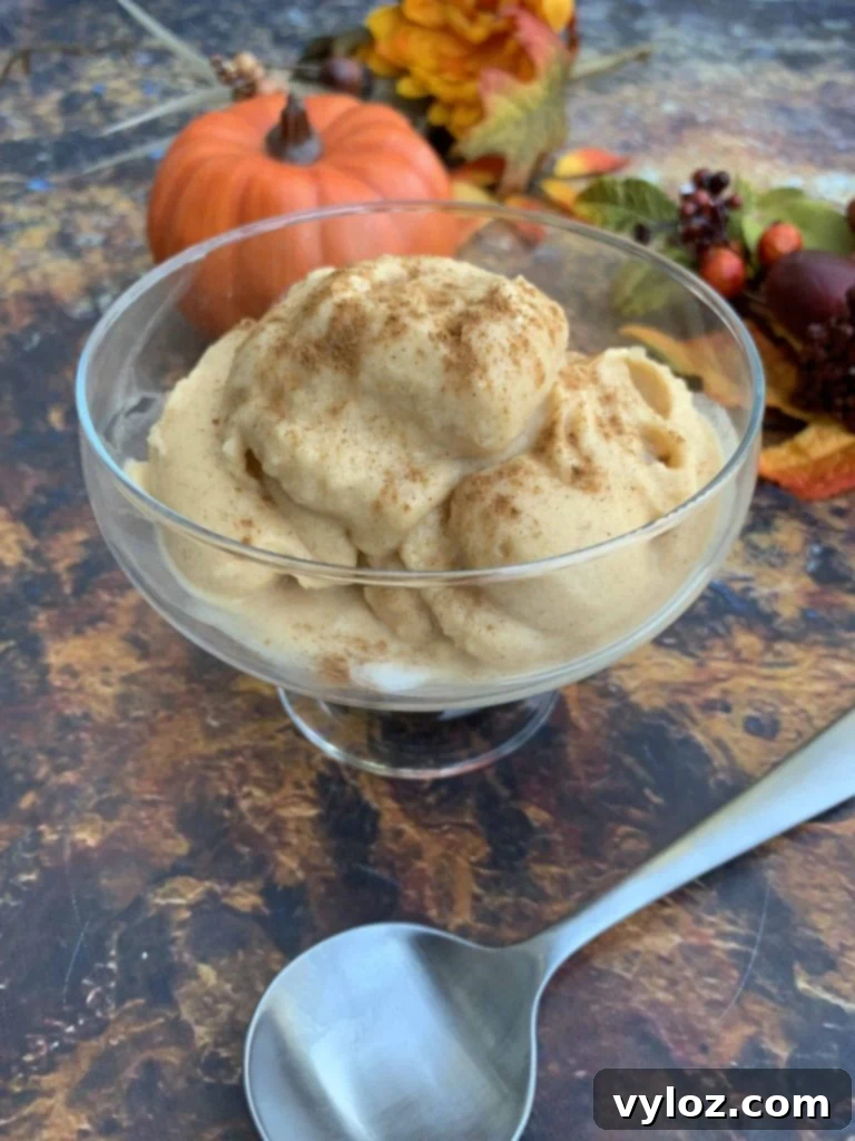 Instant Pot Blender Pumpkin Pie Spice Ice Cream 6 instant pot cooking blender pumpkin spice ice cream in a glass bowl