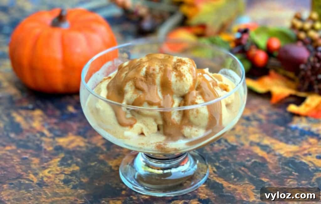 Instant Pot Blender Pumpkin Pie Spice Ice Cream 7 instant pot cooking blender pumpkin spice ice cream in a glass bowl with caramel