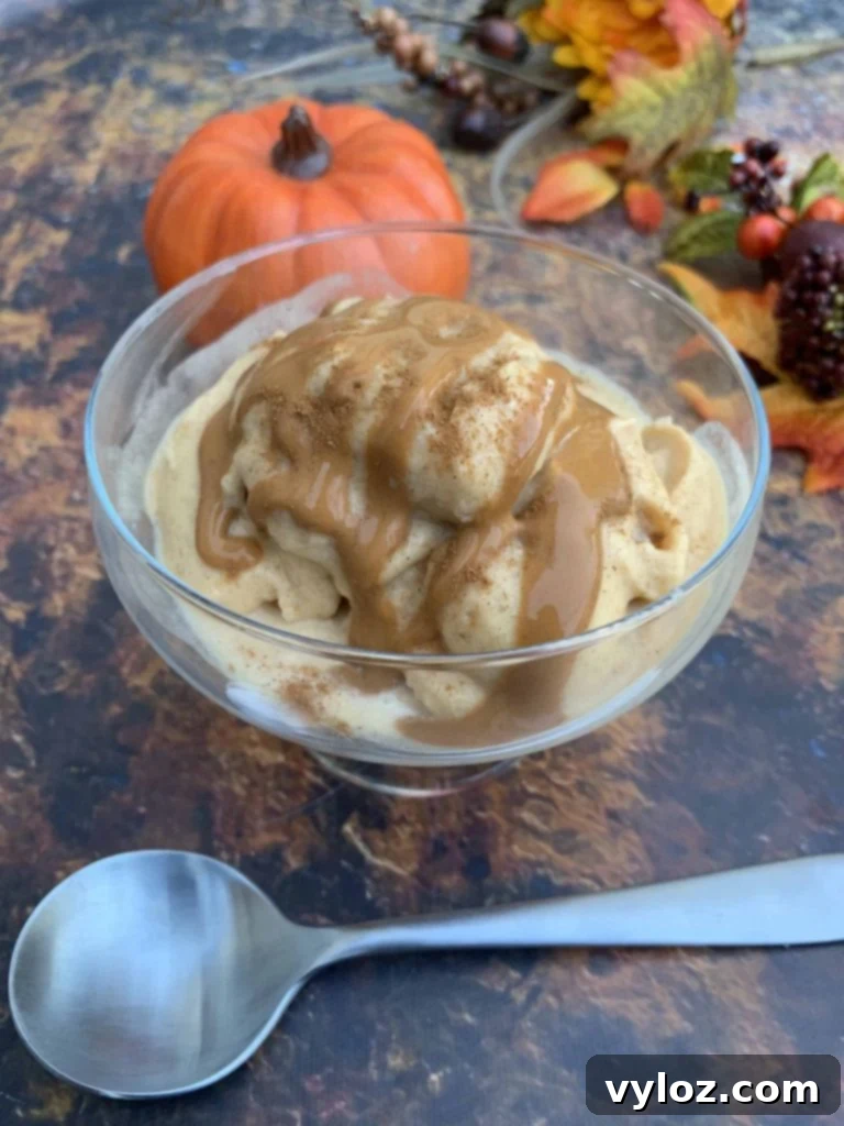 Instant Pot Blender Pumpkin Pie Spice Ice Cream 8 instant pot cooking blender pumpkin spice ice cream in a glass bowl
