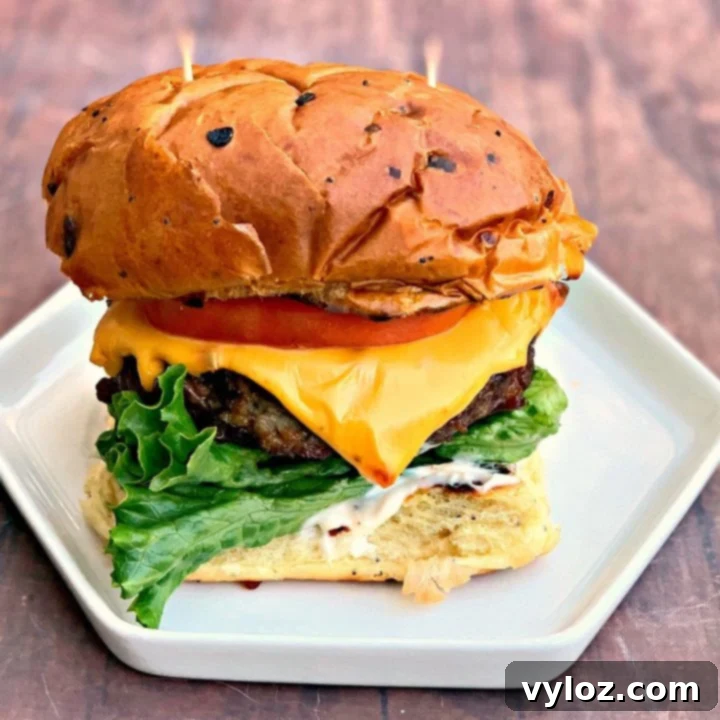 juicy air fryer cheeseburgers on a bun and white plate