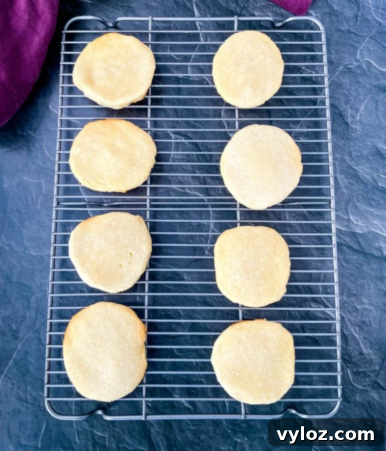 Close-up of a single keto low carb gluten free sugar cookie with a slight golden edge, on a plain plate.