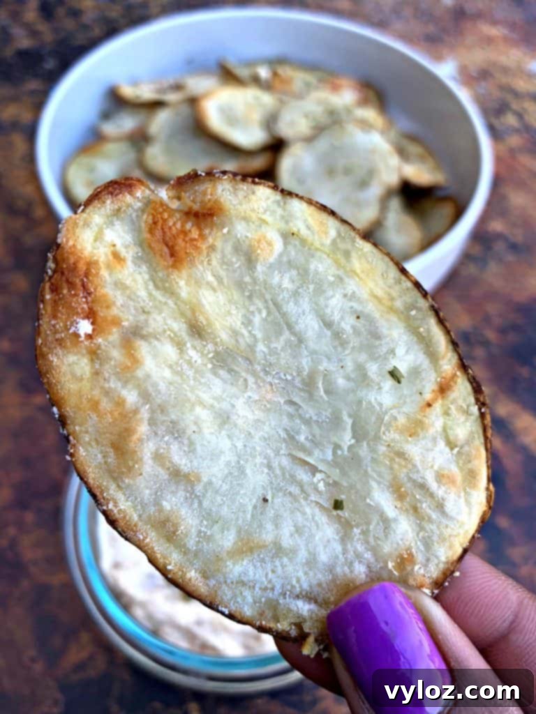 Crispy Air Fryer Homemade Potato Chips 11 A single, perfectly crisp air fryer potato chip, showcasing its texture.