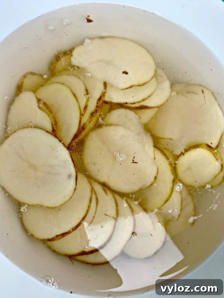 Crispy Air Fryer Homemade Potato Chips 6 Thinly sliced raw potatoes submerged in a bowl of cold water.