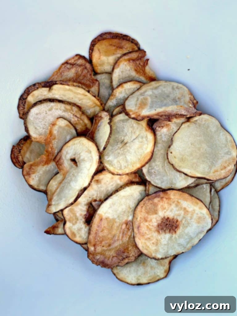 Crispy Air Fryer Homemade Potato Chips 7 Batch of golden-brown air fryer potato chips in an air fryer basket.