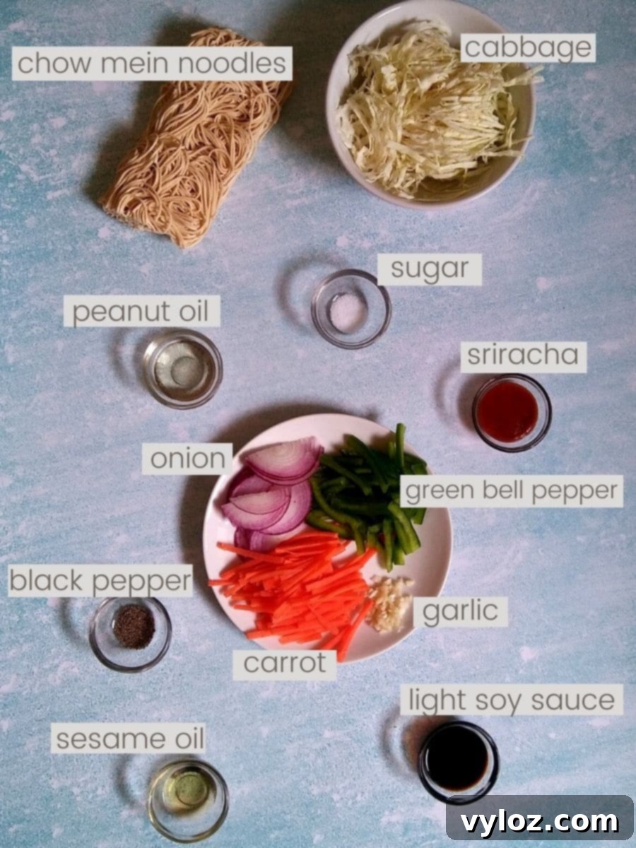 Close-up of fresh vegetables and noodles, the core ingredients for a delicious vegetarian chow mein.