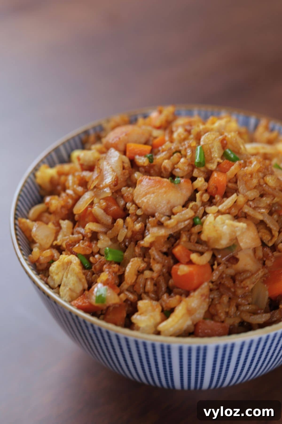 Side view of a bowl of hibachi chicken fried rice topped with green onions, showing fluffy rice and tender chicken pieces.