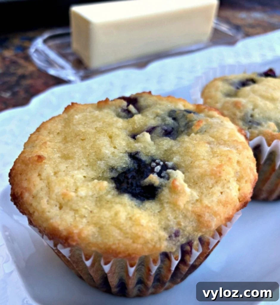 keto blueberry muffins on a white plate