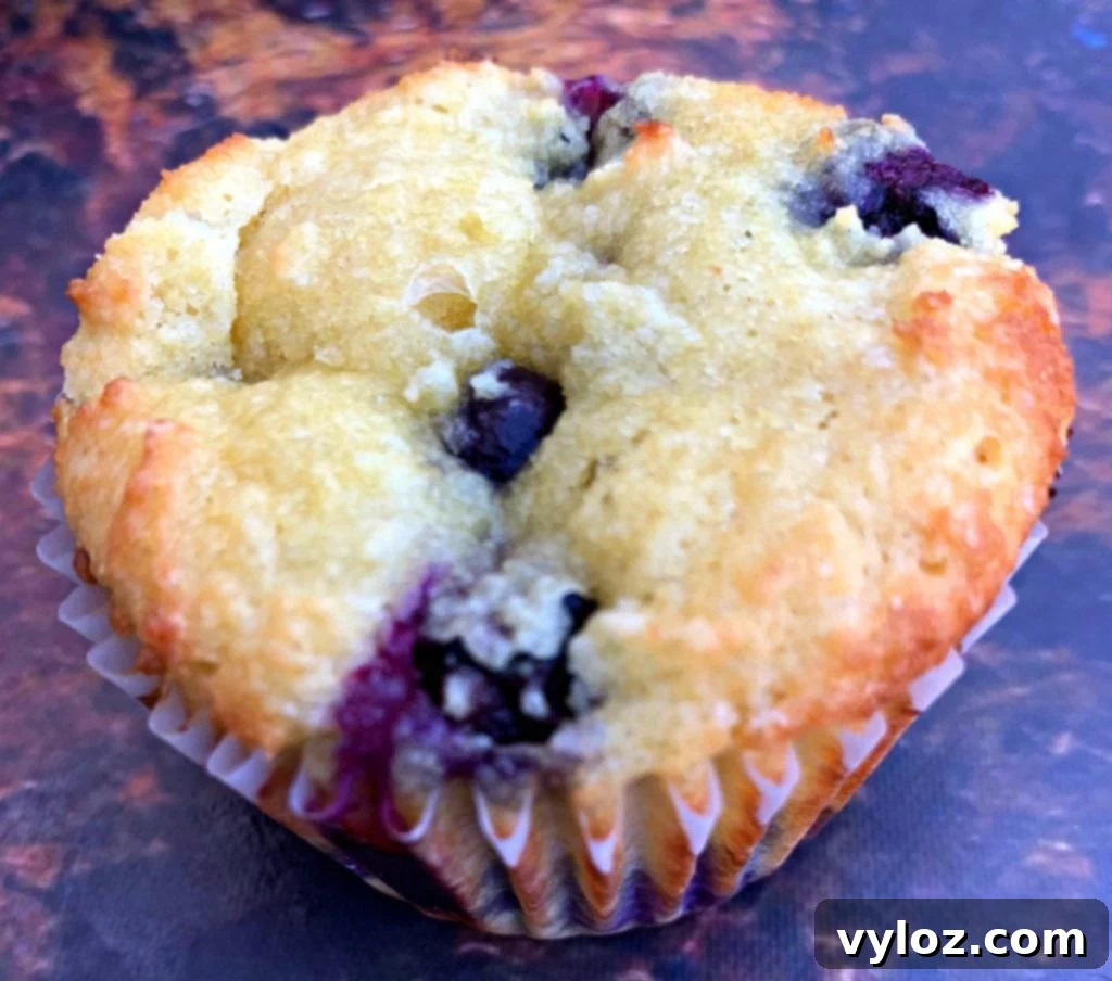 keto blueberry muffins on a flat surface