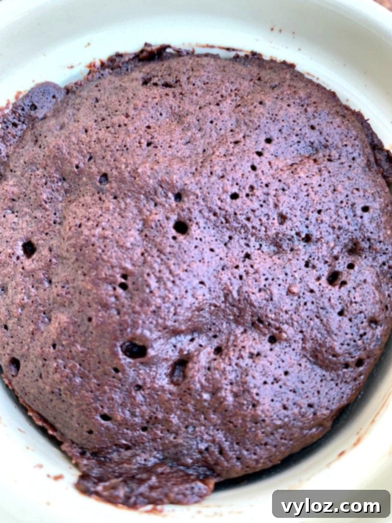 keto chocolate mug cake close up