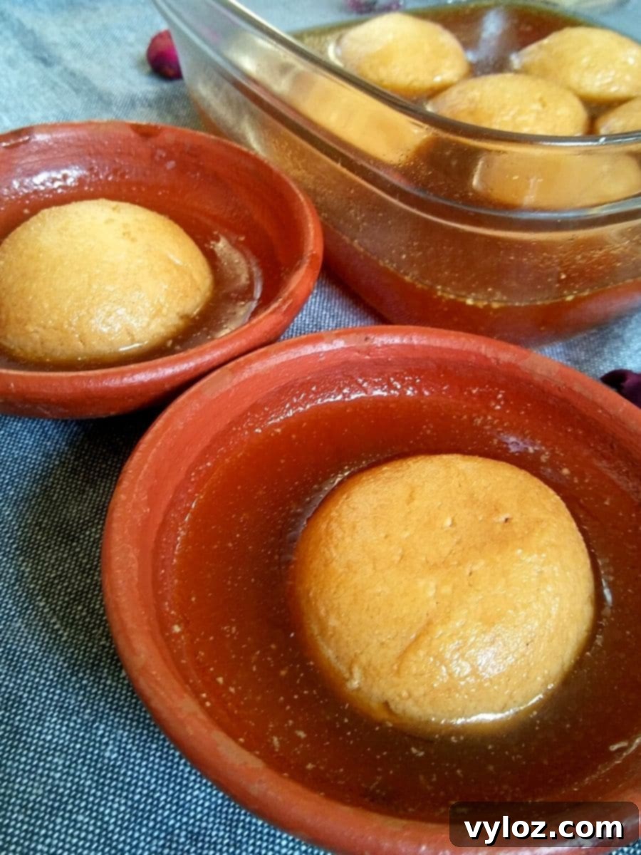 Nolen Gur Rasgulla 3 Nolen Gur Rasgulla