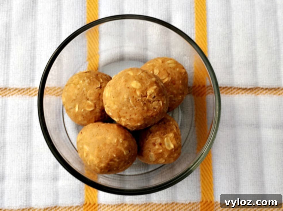 Peanut Butter Protein Balls - Multiple Angles