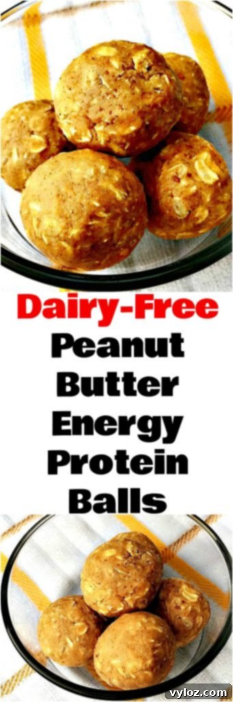 Peanut Butter Energy Protein Bars - Close Up