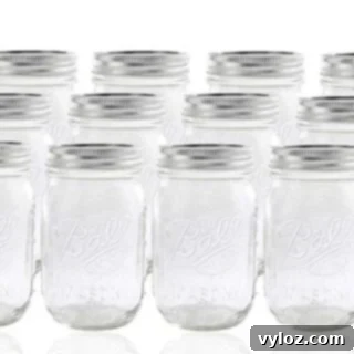 Ball Glass Mason Jars with Lids and Bands