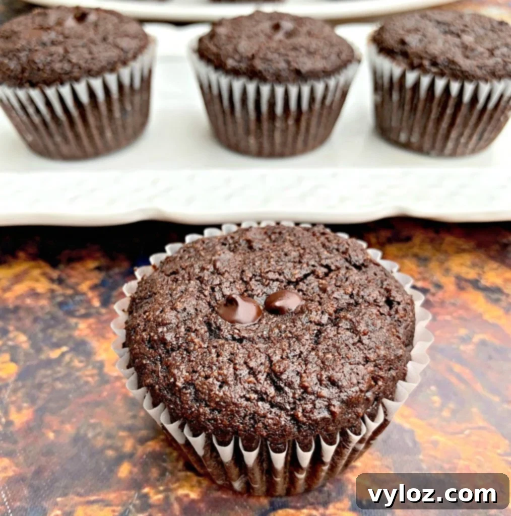 keto low carb chocolate muffins on a white plate