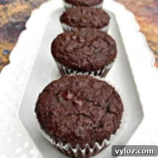 keto low carb chocolate muffins on a white plate