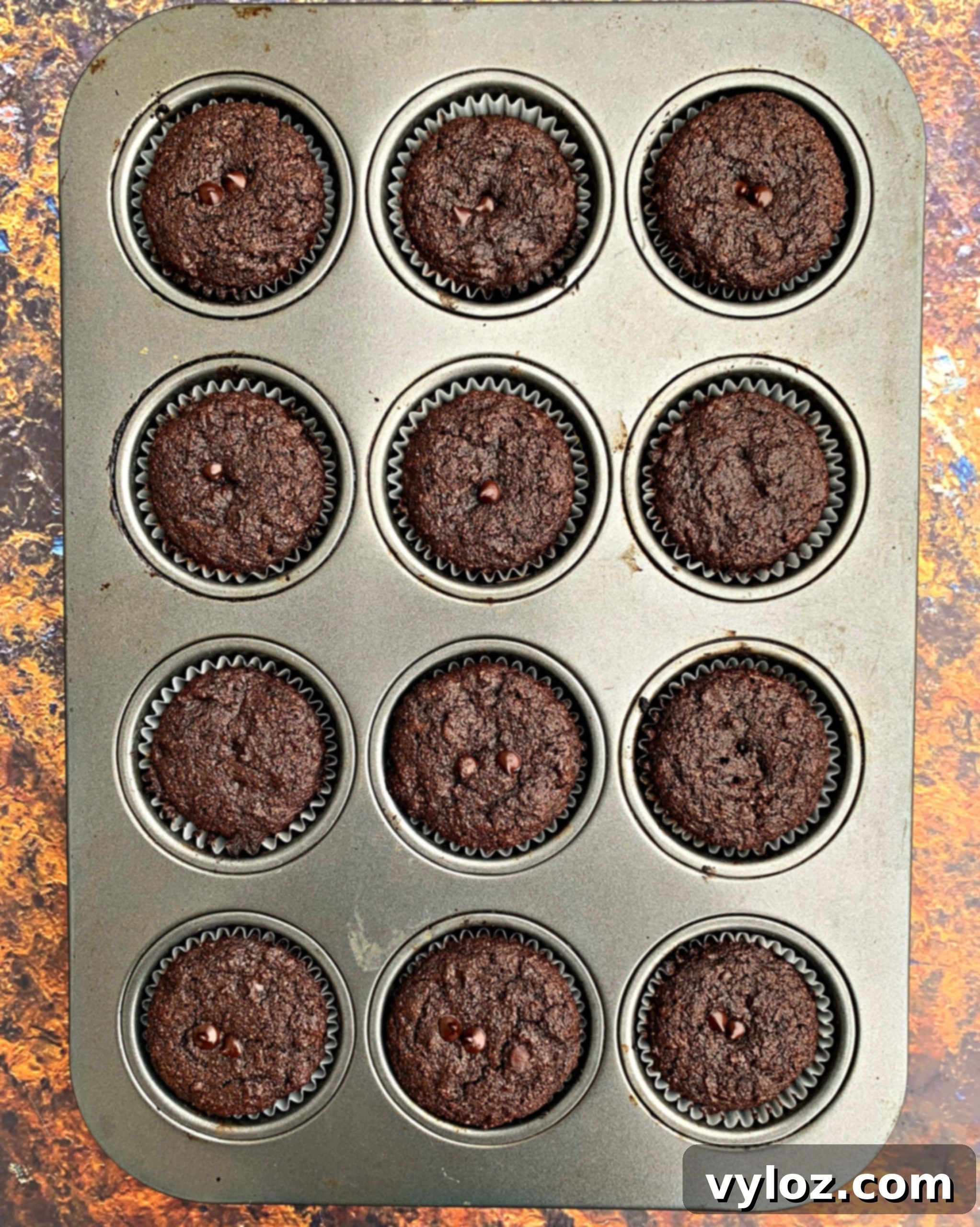 keto low carb chocolate muffins in a muffin tin