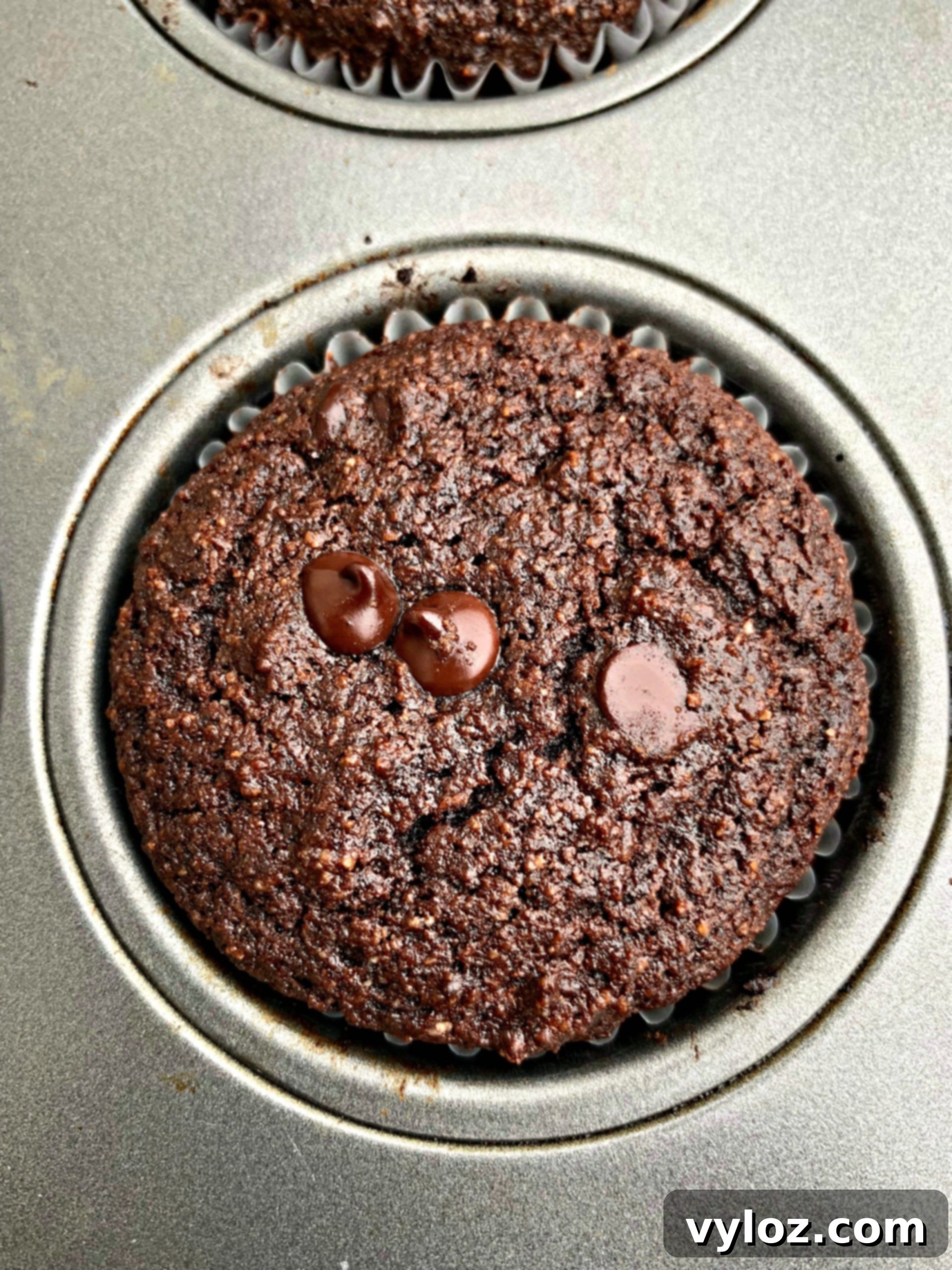 keto low carb chocolate muffins in a muffin tin