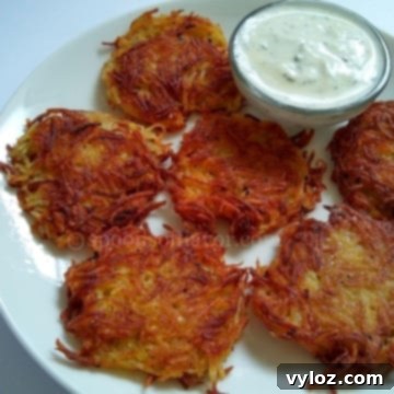 Potato Fritters