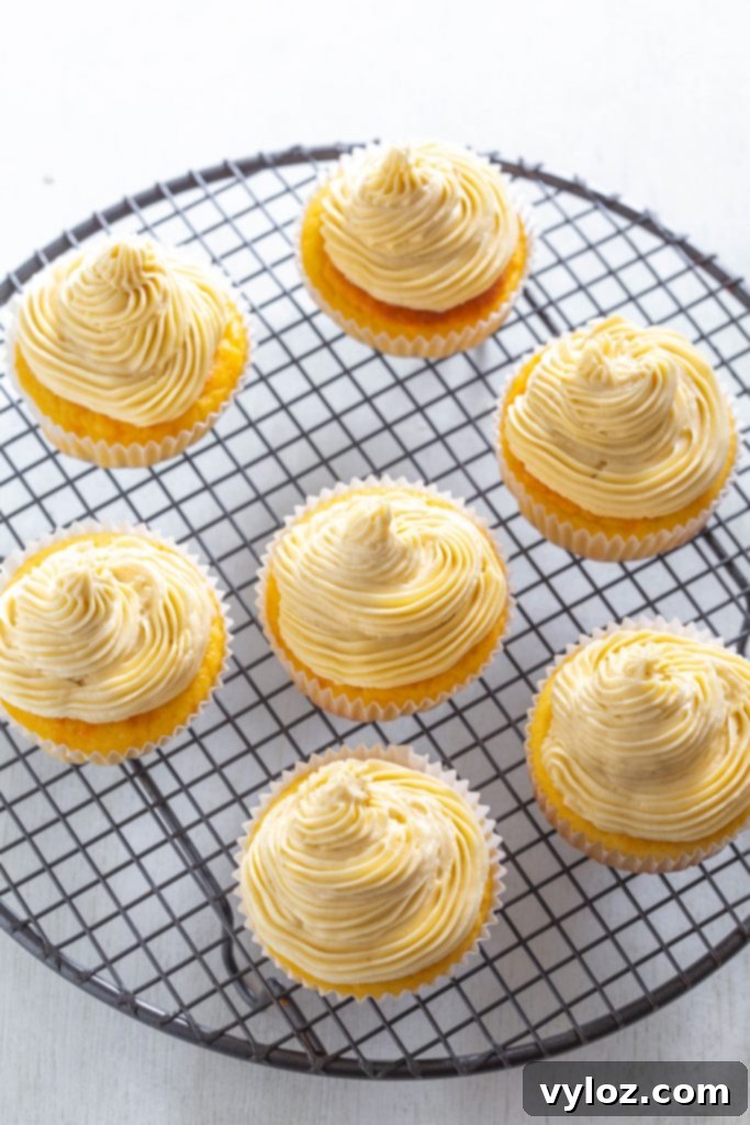 Beautifully frosted keto vanilla buttercream cupcakes elegantly arranged on a pristine white plate, showcasing their perfect presentation.