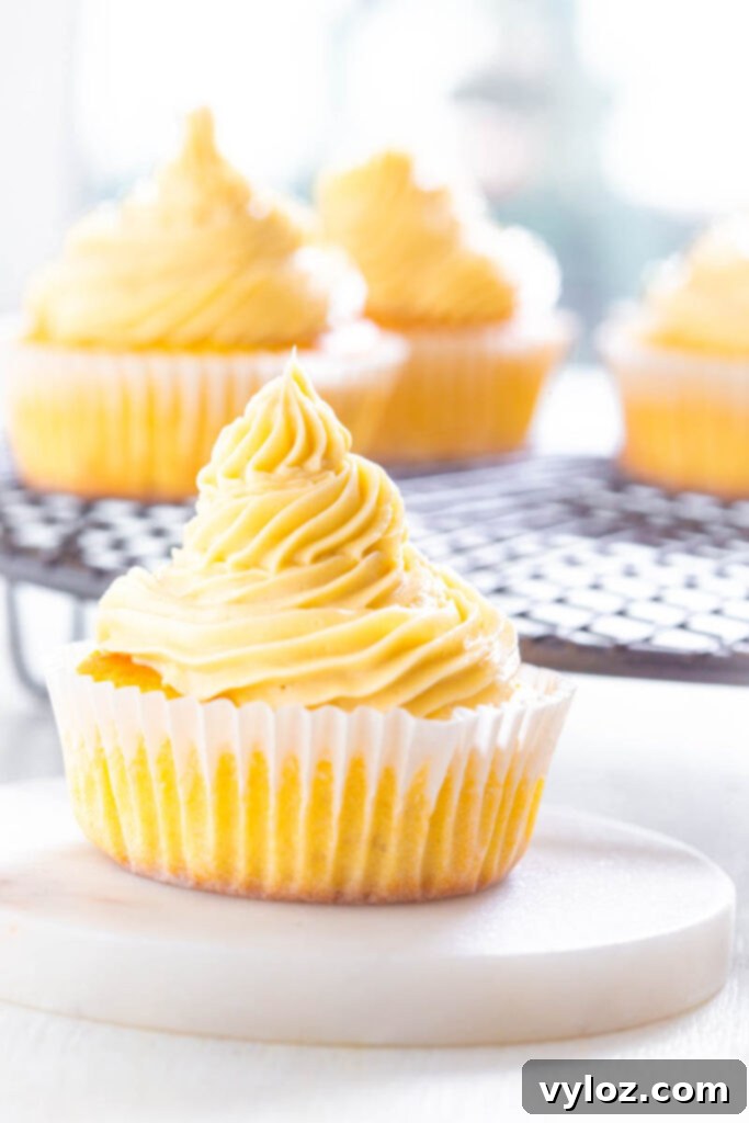 A tray of beautifully frosted sugar-free vanilla cupcakes on a wire cooling rack, ready for serving.