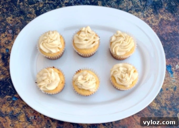 Close-up of a single keto vanilla buttercream cupcake on a pristine white plate, highlighting its creamy frosting and tender crumb.