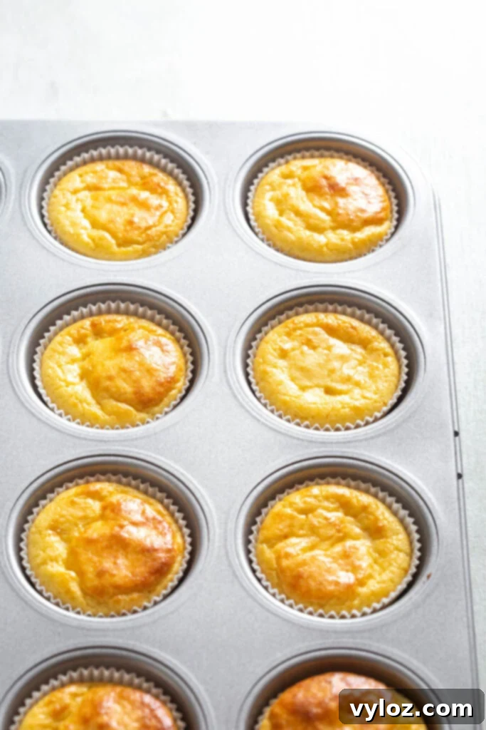 Freshly baked sugar-free vanilla cupcakes, golden-brown and perfectly risen, still nestled in their muffin tin.