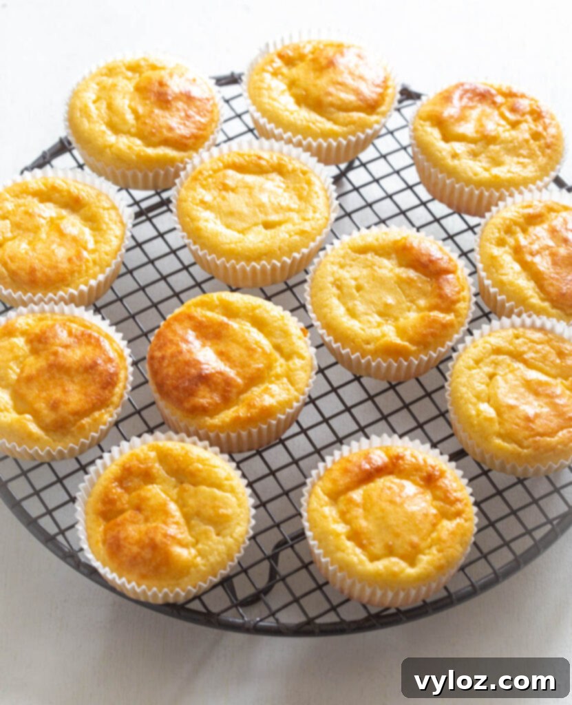 A batch of baked sugar-free vanilla cupcakes gracefully cooling on a wire rack, their gentle rise visible.
