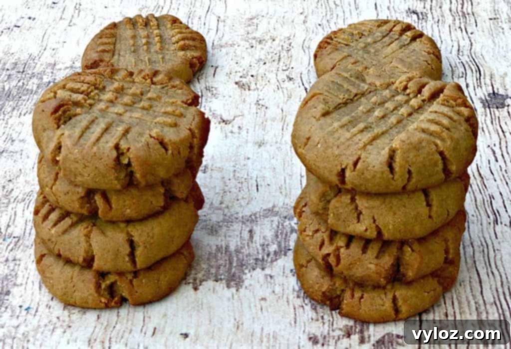 Delicious Keto Peanut Butter Cookies on a flat surface