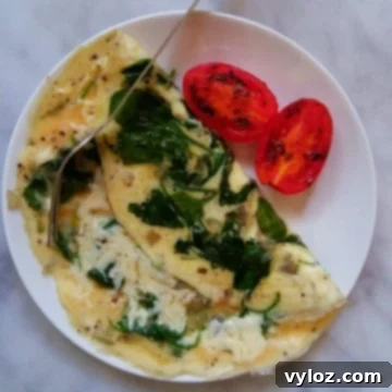 Quick and Delicious Cheesy Spinach Omelet 7 Spinach omelette served on a white plate.