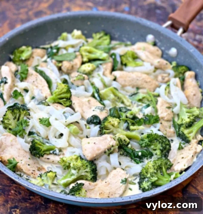 Creamy Keto Chicken Alfredo with Shirataki Fettuccine 2 A delectable skillet of keto chicken alfredo with tender chicken, vibrant broccoli, and fresh spinach, all tossed with shirataki noodles.