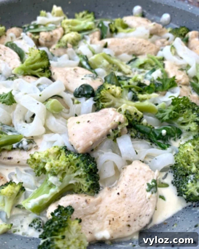 Creamy Keto Chicken Alfredo with Shirataki Fettuccine 11 An enticing close-up of keto chicken alfredo, highlighting the creamy sauce and fresh ingredients.